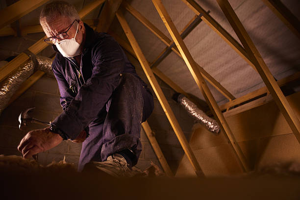 Best Local Insulation Services  in Lepanto, AR